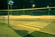 Night Life 