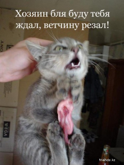 Happy