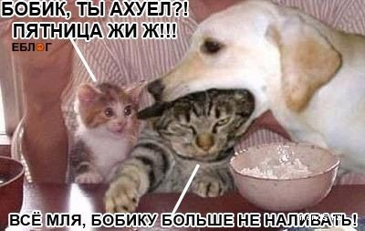 Happy))