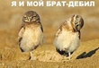 Они не два дебила, а тока один)))