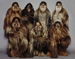 me and my family