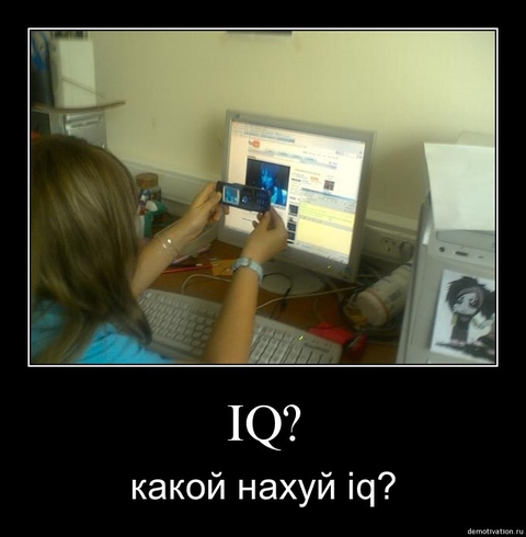 Какой IQ ?