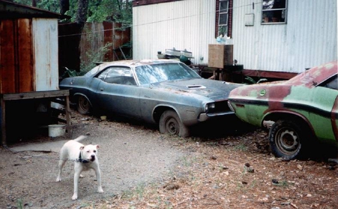 Хотя бы в таком состоянии.. '70 Challenger :*:*