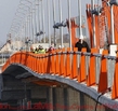 Самый дорогой и качественый мост в Европе 