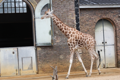 ZOO