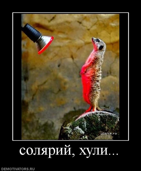 Soljarij