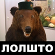 Лолшто?