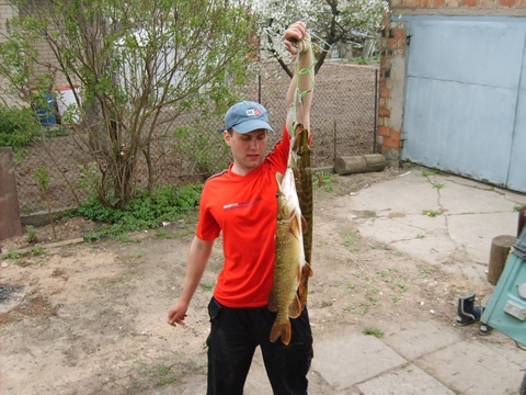 а вам слабо таких поймать