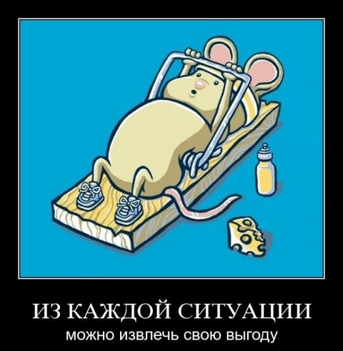 мышь