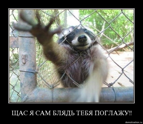 Энот