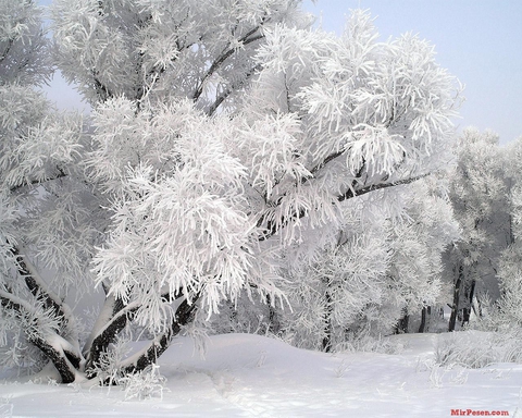 зима.... так скучаю по ней