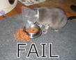 Poor kitty :D