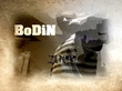 BoDiN 2009