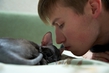 со мной мои коты (hug)