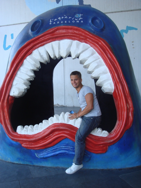 Shark attack