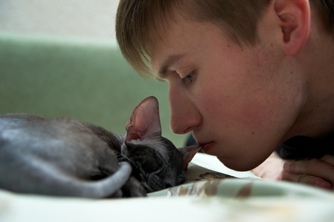 со мной мои коты (hug)