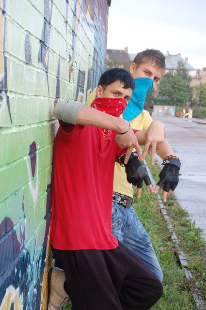 bloods and crips