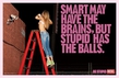 У умных есть мозги, у глупых есть смелость. 
