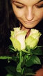 roses*