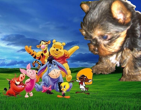продается