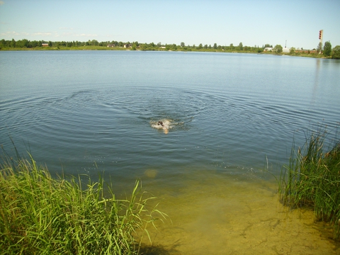 субмарина 