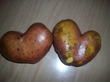 картофельная любовь <3