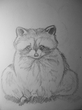 The Coon