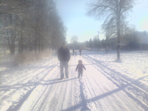 vēsais :>