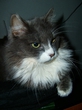 My pussy! :D