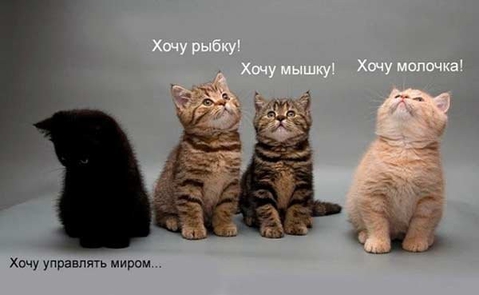 модератор, заходи, поговорим. 