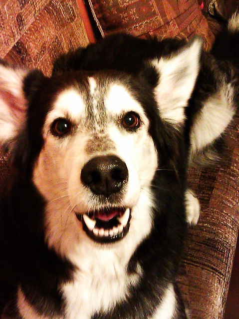 Smile:)))