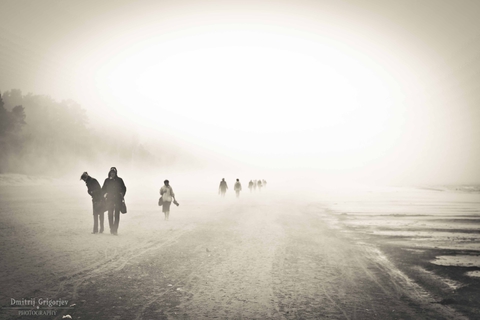 fog