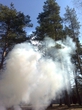 smoky