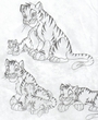 Tigers ( by Raziel )