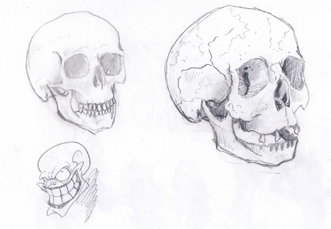 Skulls ( by Raziel )