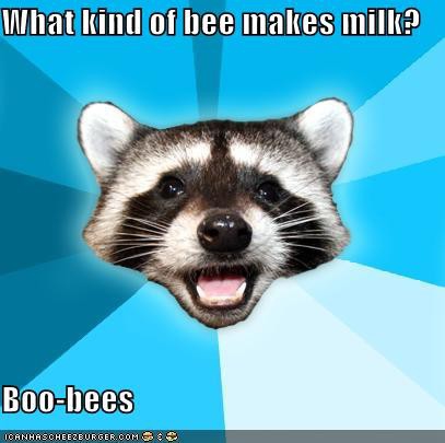 I want those bees :D