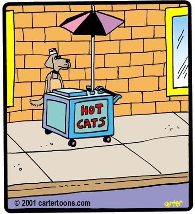 Я знаю как делают Hot Dog, а как делают Hot Cats?