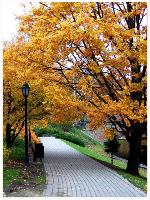 Autumn 09