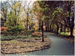 Autumn 09