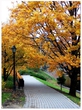 Autumn 09