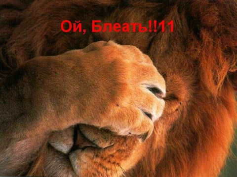 аватарго