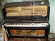 Пианино в Припяти. Сколько стоит настроить пианино.maxim_tuner