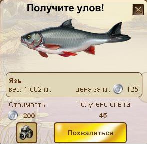 ВОТ ОНА ! РЫБА МОЕЙ МЕЧТЫ