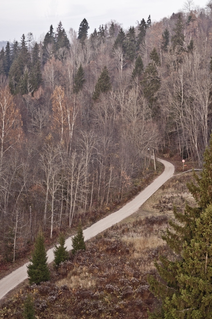 Сигулда - вид с канатной дороги ( 5 Ноября 2011 года).