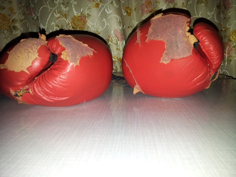Мои предыдущие перчатки. BULLS