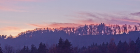 Сигулдский пейзаж, закат ( 5 Ноября 2011 года).