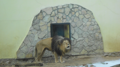 Rigas Zoo