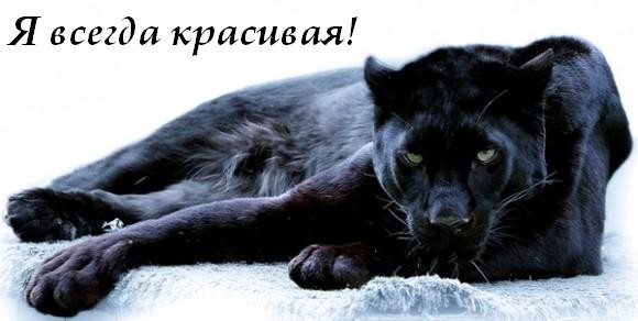 На что вы похожи утром?