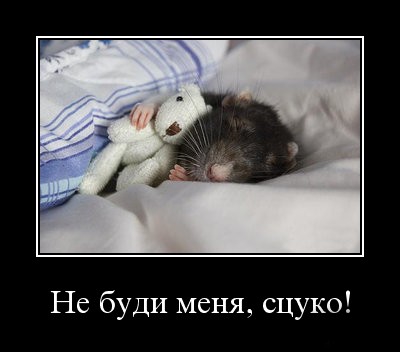 Что вы хотите на НГ?