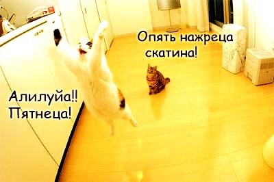 Что надо увидить что бы сказать ОГО ?